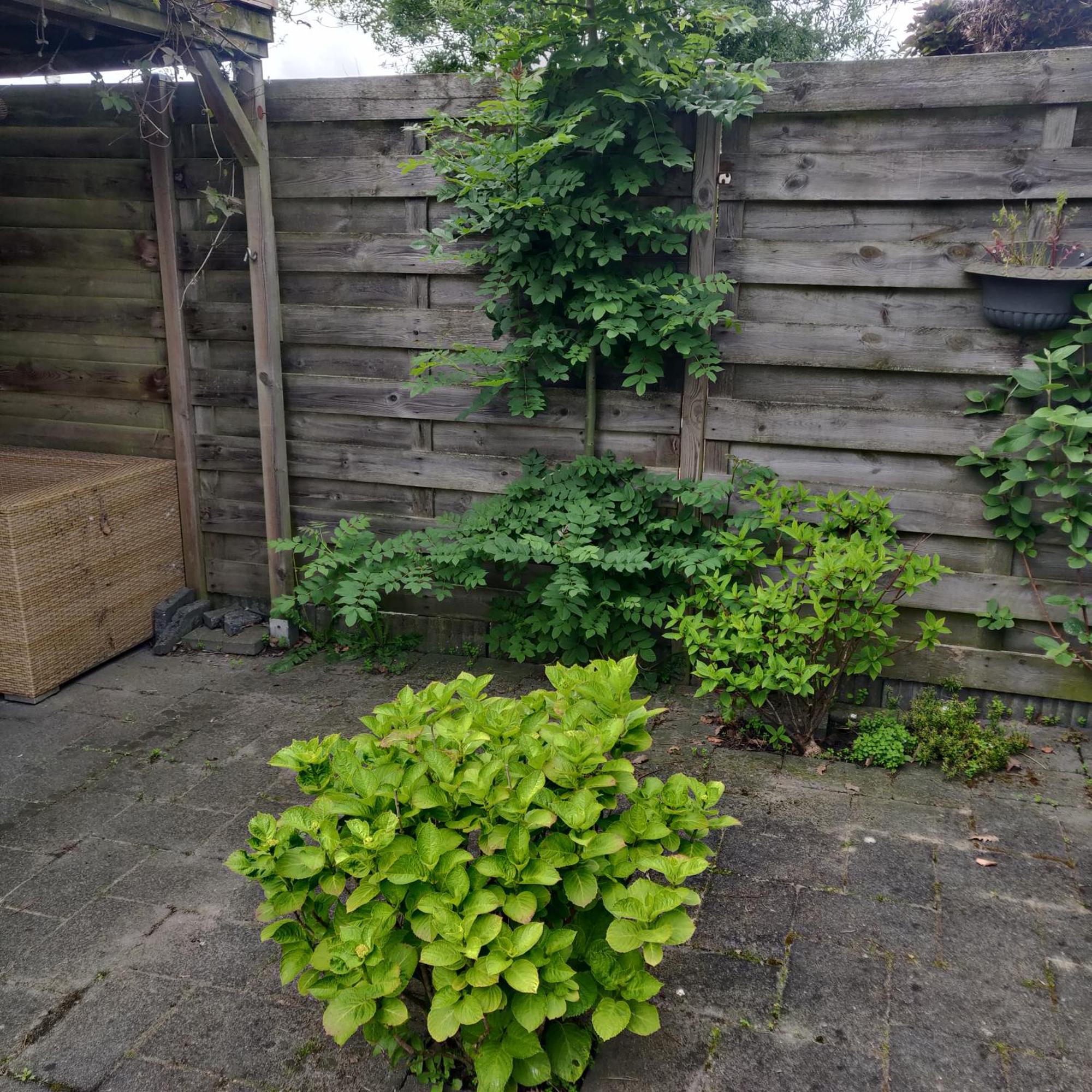 Solstice, Quiet Cottage In Bruinisse, Zeeland Exterior foto